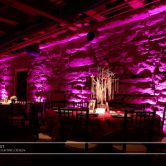 Wedding led uplighting at 413 on Wacouta 5