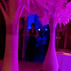 Minneapolis wedding led uplighting at Calhoun Beach Club 2
