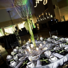 Wedding Uplighting at Dellwood Hills 24