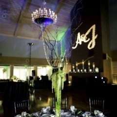 Wedding Uplighting at Dellwood Hills 25