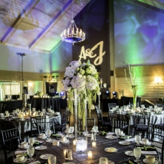 Wedding Uplighting at Dellwood Hills 27