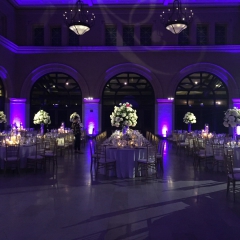 Battery powered pin spots on Centerpieces, purple LED uplighting and custom monogram on sheer fabric backdrop