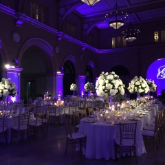 Battery powered pin spots on Centerpieces, purple LED uplighting and custom monogram on sheer fabric backdrop