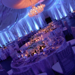 Winter wonderland wedding lighting