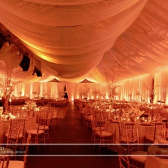 Joe Mauer Wedding - Uplighting