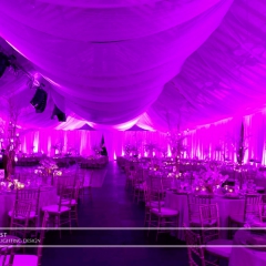 Joe Mauer Wedding - Uplighting