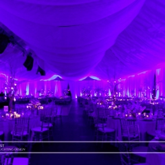 Joe Mauer Wedding - Uplighting