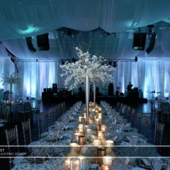 Joe Mauer Wedding - Uplighting