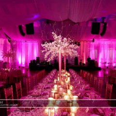 Joe Mauer Wedding - Uplighting