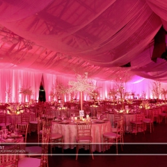 Joe Mauer Wedding - Uplighting