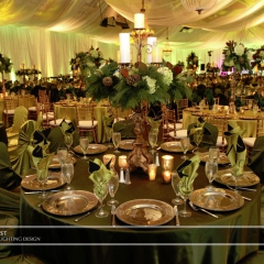 Corporate Event - Green LED uplighting