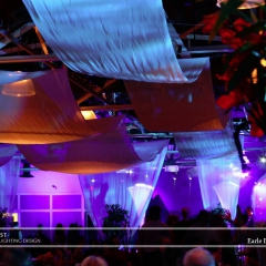 Wedding led uplighting at Earle Brown Heritage Center 2