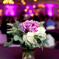 Wedding led uplighting at Edina Country Club 3