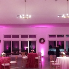 Pink uplighting at Hutton House for engagement party