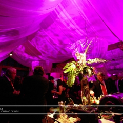 Wedding led uplighting at Interlachen  1