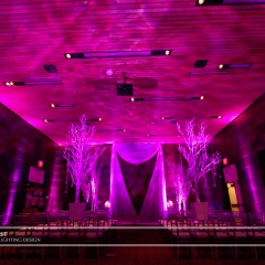 Wedding led uplighting at McNamara 10