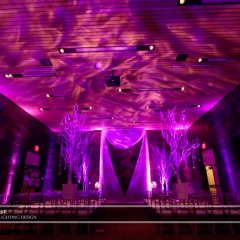 Wedding led uplighting at McNamara 11