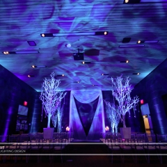 Wedding led uplighting at McNamara 13