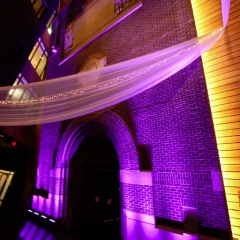 Wedding led uplighting at McNamara 19