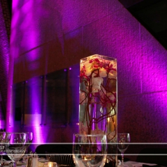 Wedding led uplighting at McNamara 2