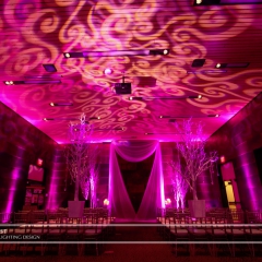 Wedding led uplighting at McNamara 7