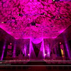 Wedding led uplighting at McNamara 8