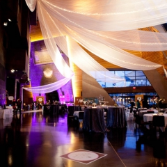 Wedding led uplighting at McNamara 23