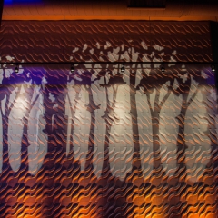 Skinny trees image projection