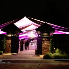 Wedding led uplighting at Tent 5