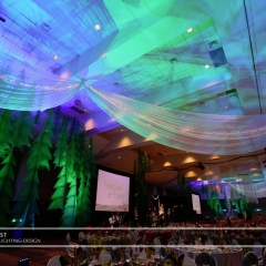 Wedding led uplighting at Xcel Energy Center 2