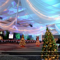 Wedding led uplighting at Xcel Energy Center 3